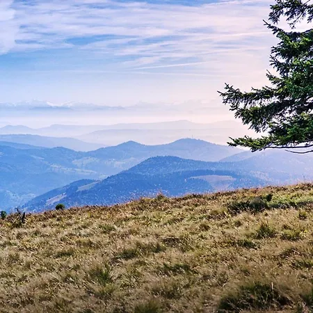 Haus Sonnenschein Apartment