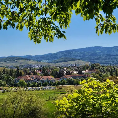 Haus Sonnenschein * Bad Krozingen